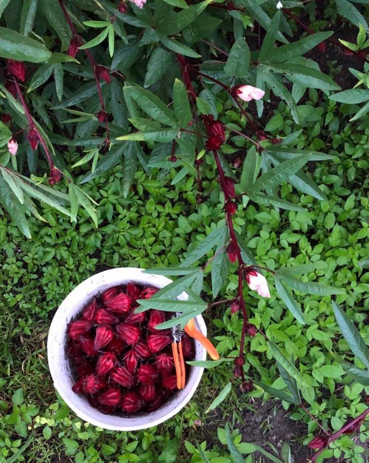 Remindful Homestay Гуаншан Екстериор снимка